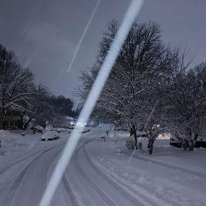 Meet your Posher, Casey